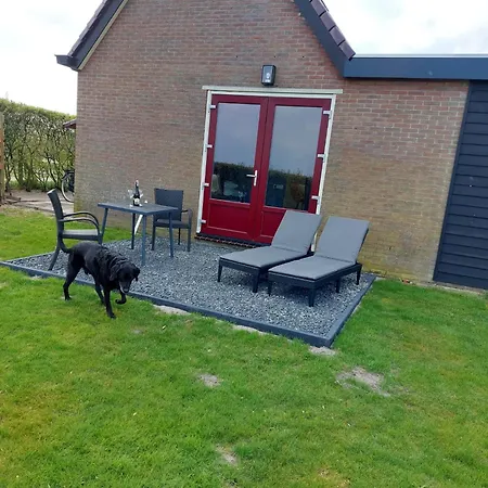 Sfeervolle Vitamine Zee Met Zicht Op De Duinen 3* Julianadorp