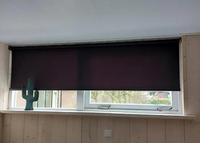 Gasthuis Sfeervolle Vitamine Zee Met Zicht Op De Duinen 3*